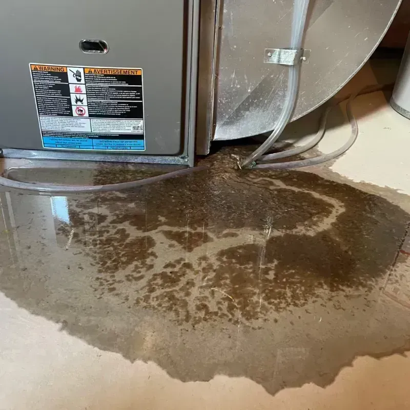 Appliance Leak Cleanup in Larkfield-Wikiup, CA